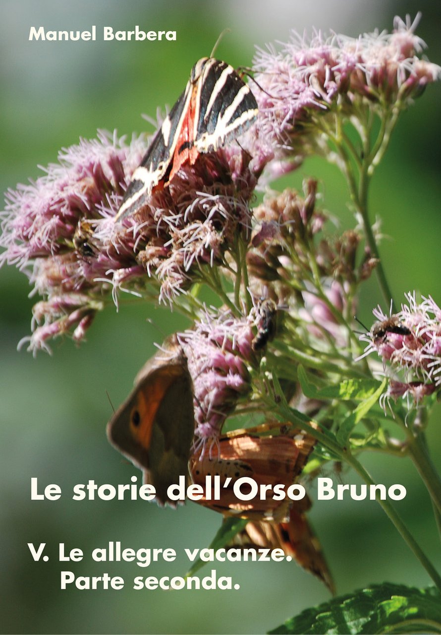 Le allegre vacanze. Parte seconda. Le storie dell'orso bruno. Vol. …