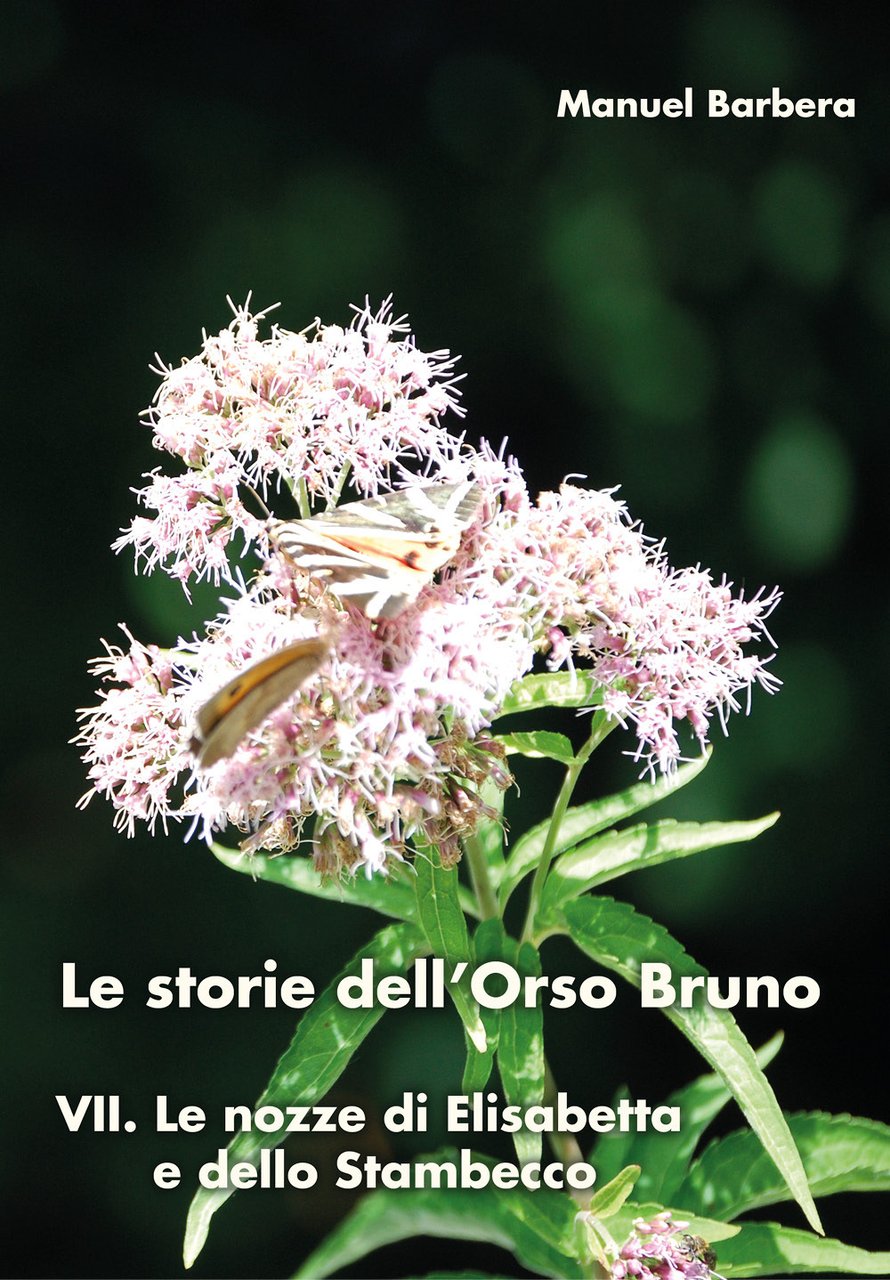 Le nozze di Elisabetta e dello stambecco. Le storie dell'orso …