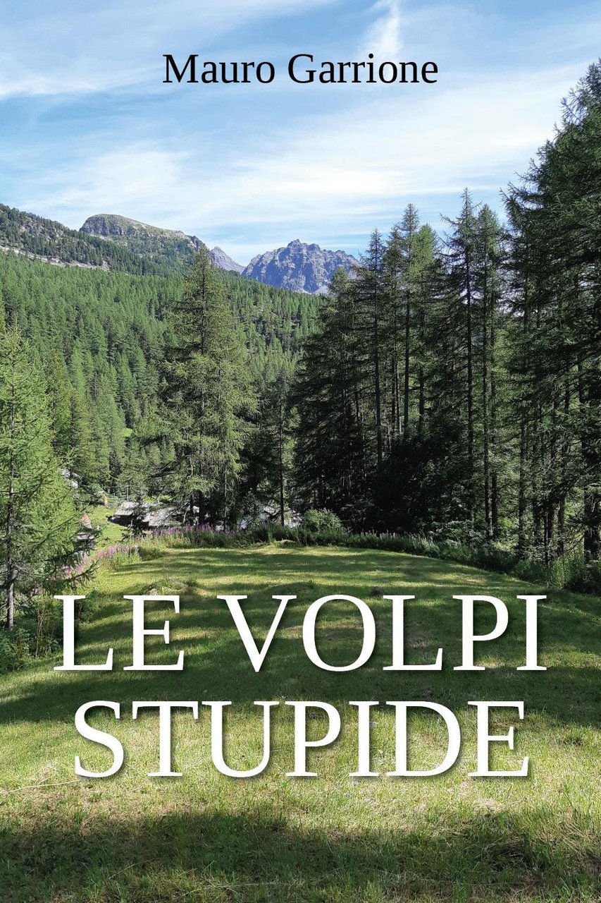 Le volpi stupide | Immagine principale