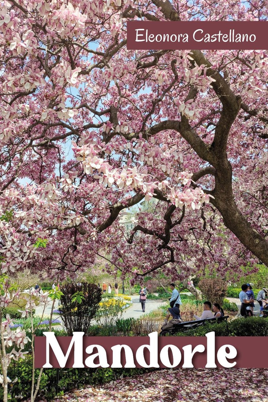 Mandorle | Immagine principale