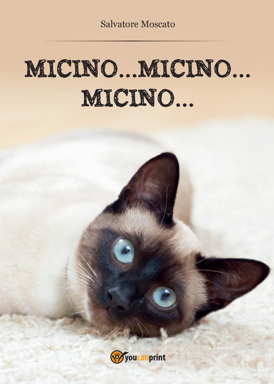 Micino. micino. micino.