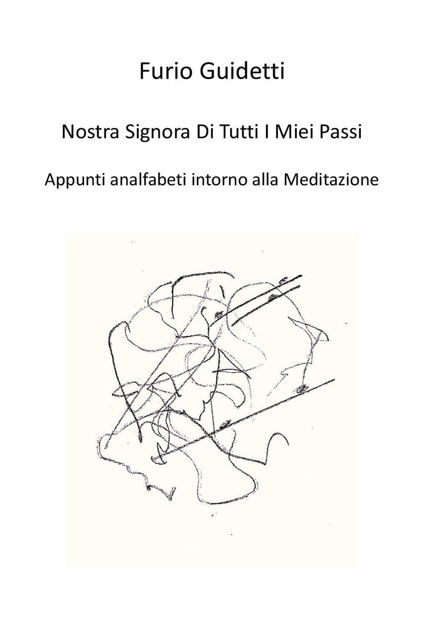Nostra Signora di tutti i miei passi. Appunti analfabeti intorno … | Immagine principale