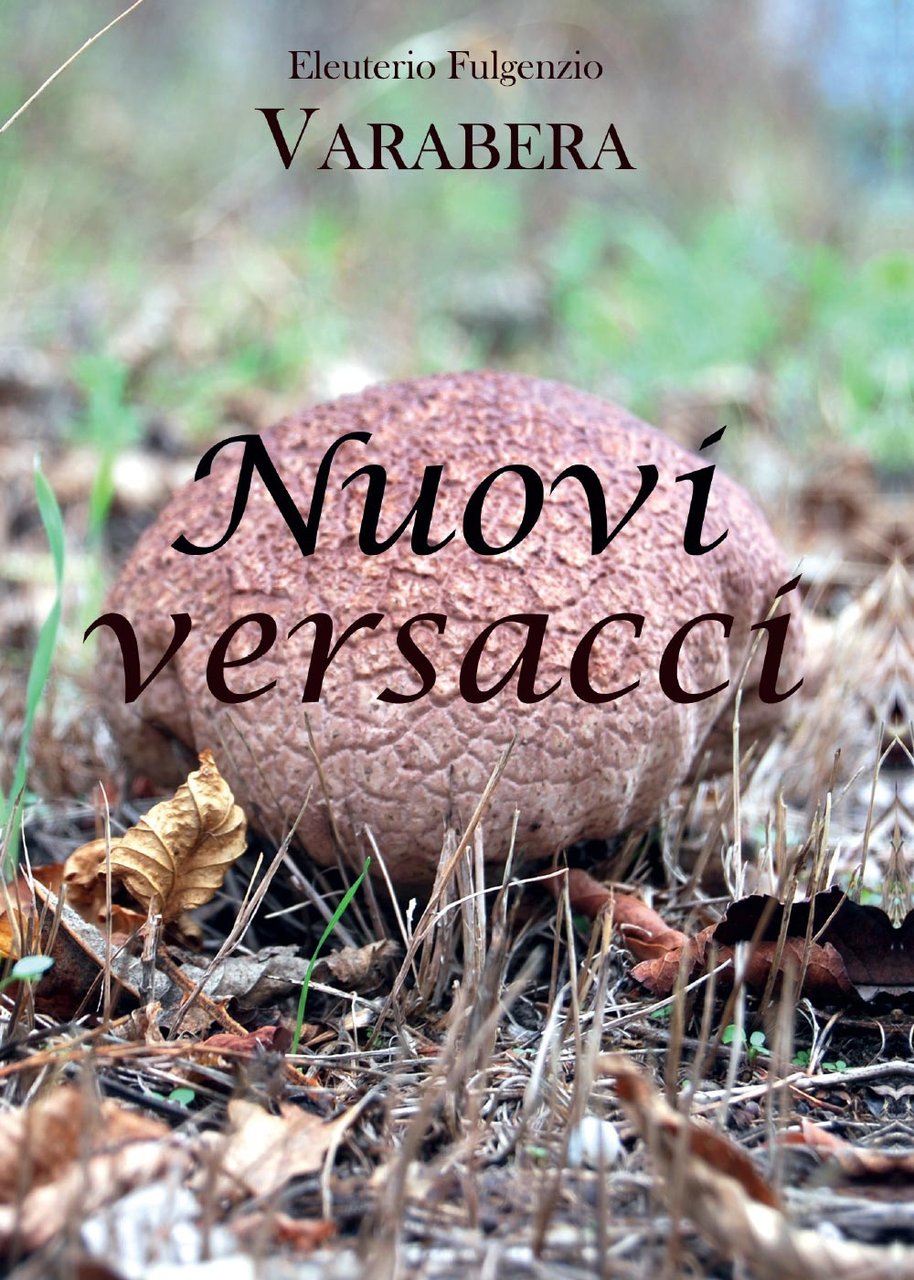 Nuovi versacci