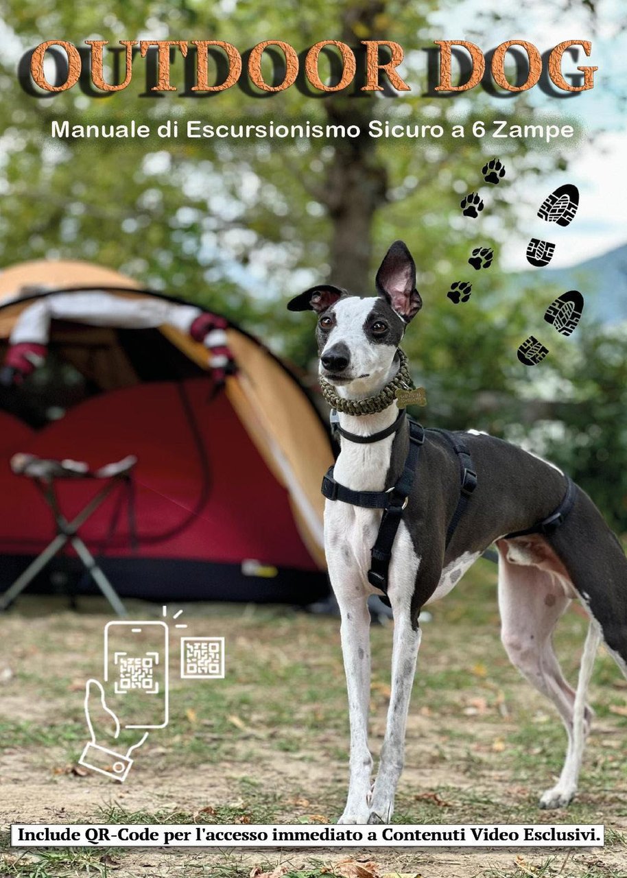 Outdoor dog. Manuale di escursionismo sicuro a 6 zampe