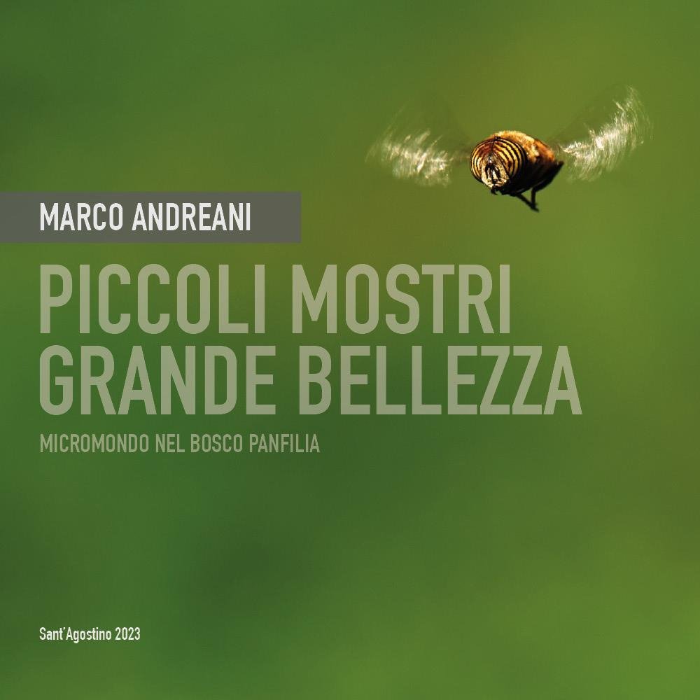 Piccoli mostri. Grande bellezza. Micromondo nel bosco Panfilia