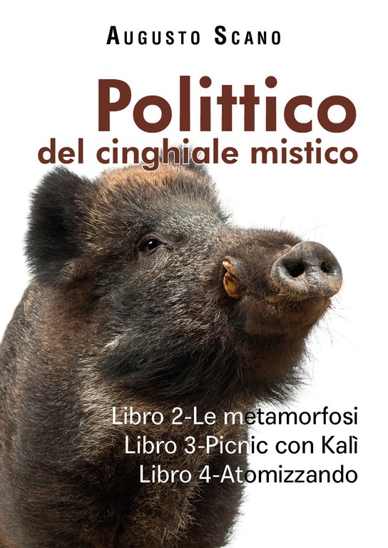 Polittico del cinghiale mistico. Vol. 2-3-4: Le metamorfosi-Picnic con Kalì-Atomizzando