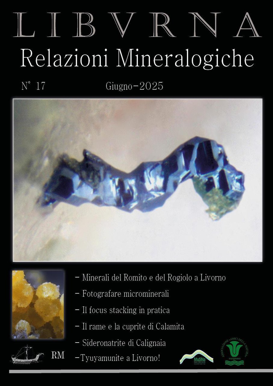 Relazioni mineralogiche. Libvrna. Vol. 17 | Immagine principale