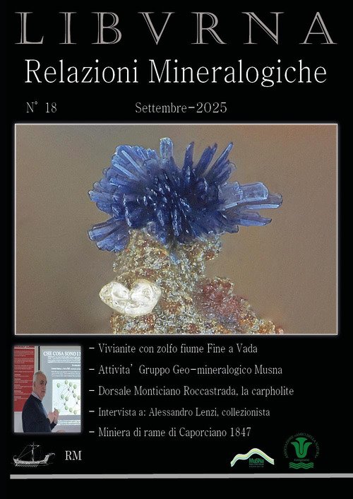 Relazioni mineralogiche. Libvrna. Vol. 18 | Immagine principale