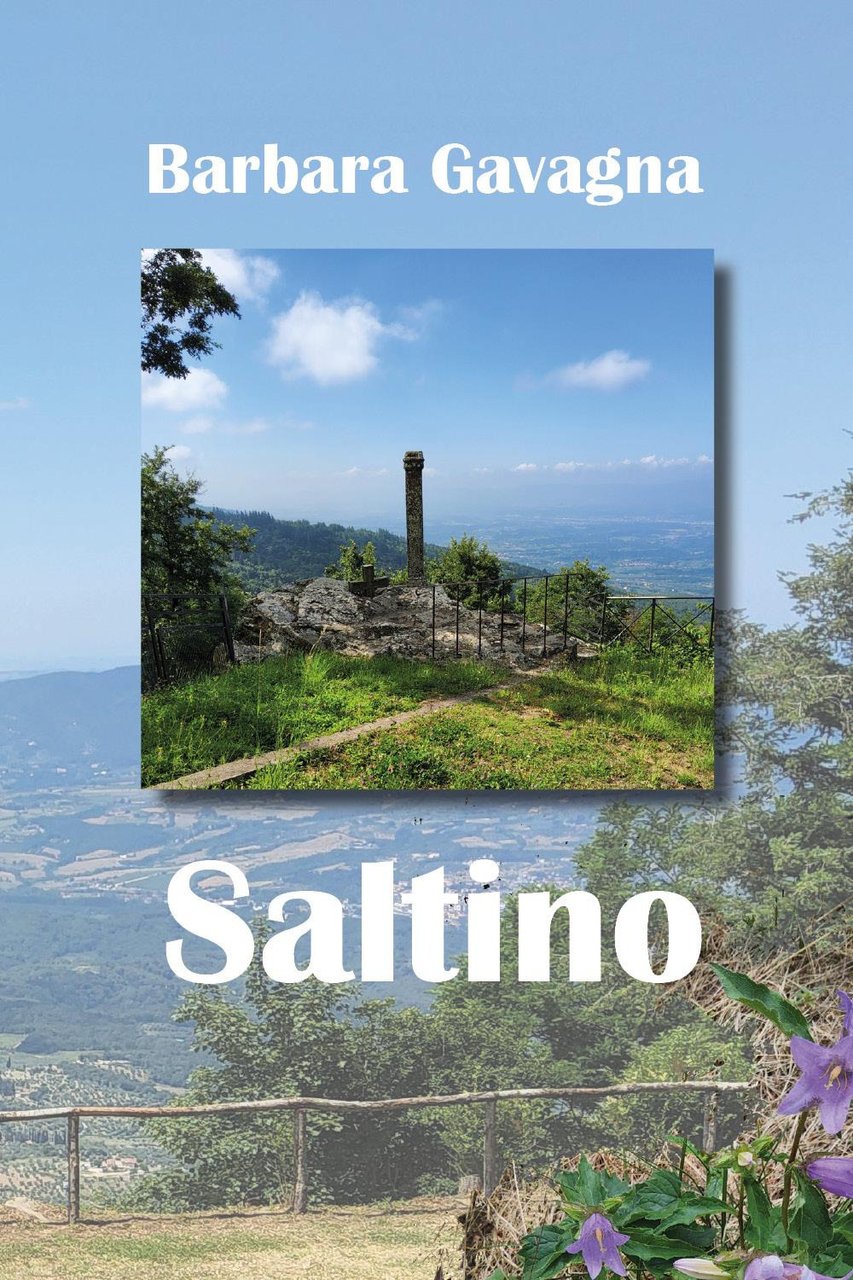 Saltino | Immagine principale