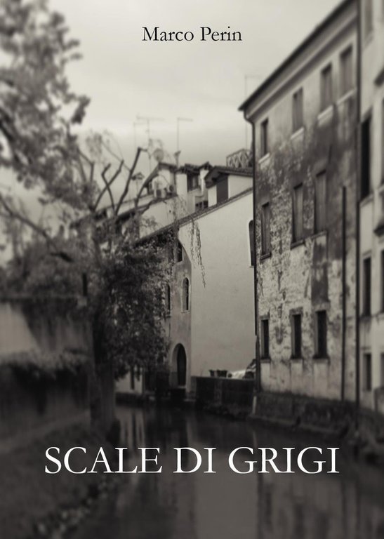 Scale di grigi | Immagine Gallery 2