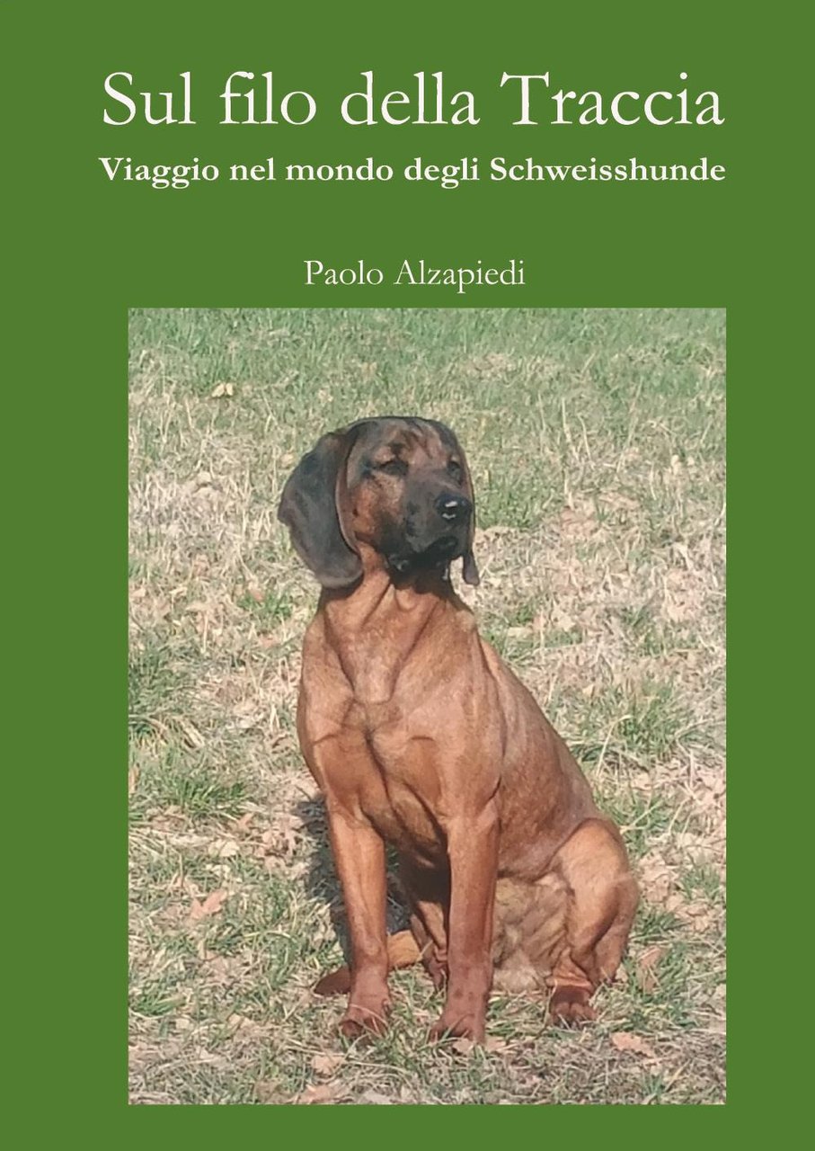 Sul filo della traccia. Viaggio nel mondo degli Schweisshunde | Immagine principale