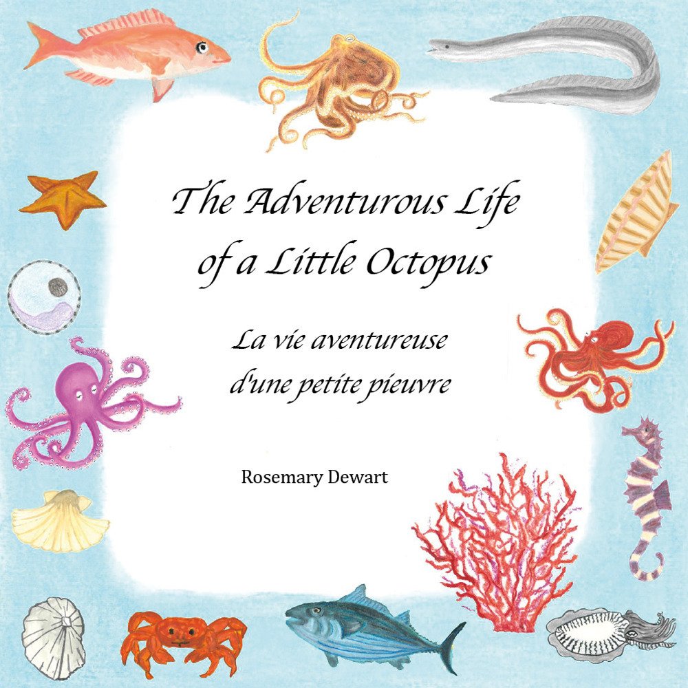 The adventurous life of a little octopus-La vie aventureuse d'une …