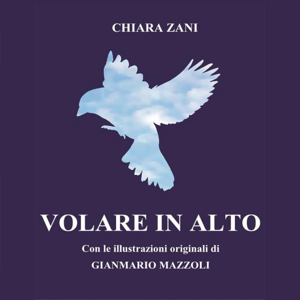 Volare in alto | Immagine principale