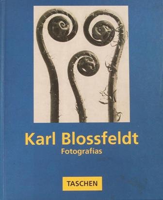 Karl Blossfeldt. Fotografías. ���� | Immagine principale