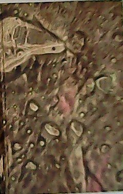 Les mariages de Paris.