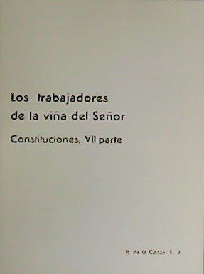 Los trabajadores de la viña del Señor. Costituciones, VII parte