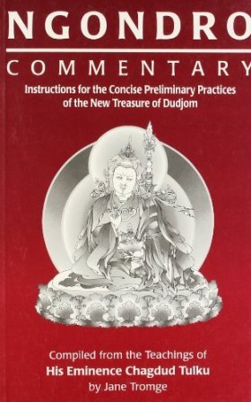 NOGORO. COMMENTARY. Instructions for the Concise Preliminary Practices of the …