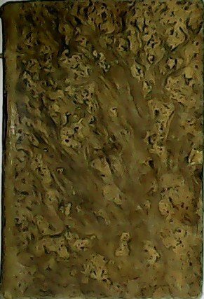 Nuestra Señora de Lourdes.