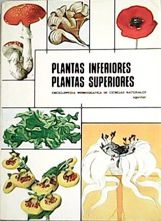 Plantas Inferiores, Plantas Superiores. Traducción del italiano de Gerardo Alemán …