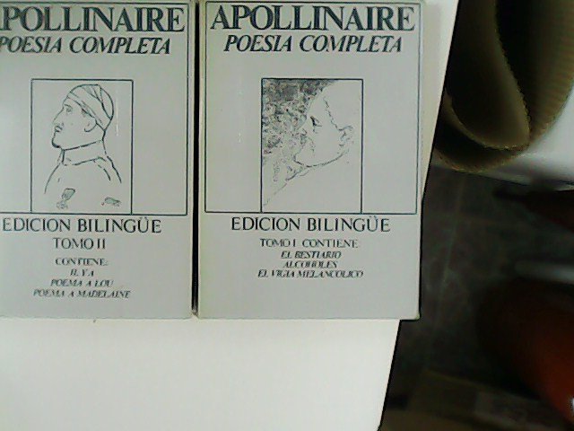 Poesía Completa. Edición bilingüe. Tomo I: El Bestiario. Alcoholes. El vigía melancólico. Tomo II: Il y a. Poema a Lou. Poema a Madelaine.
