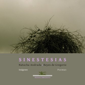 Sinestesias. Poesía.