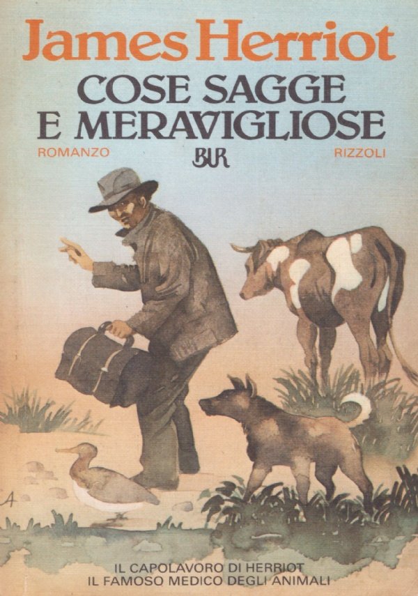 COSE SAGGE E MERAVIGLIOSE