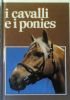 I CAVALLI E I PONIES