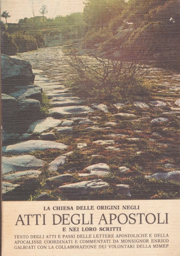 La chiesa delle origini negli ATTI DEGLI APOSTOLI e nei …