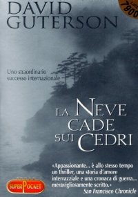 LA NEVE CADE SUI CEDRI