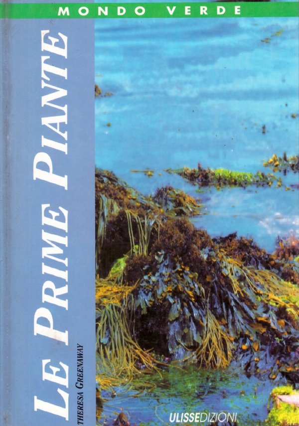 LE PRIME PIANTE