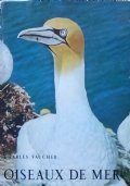 OISEAUX DE MER