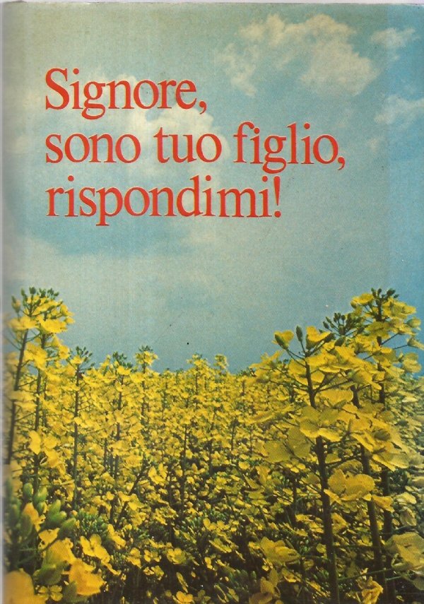 SIGNORE SONO TUO FIGLIO RISPONDIMI