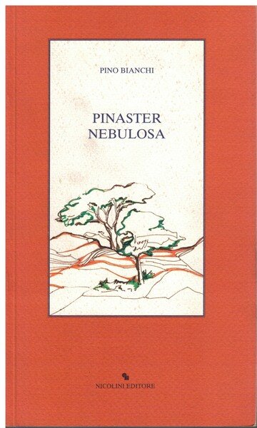 Pinaster nebulosa