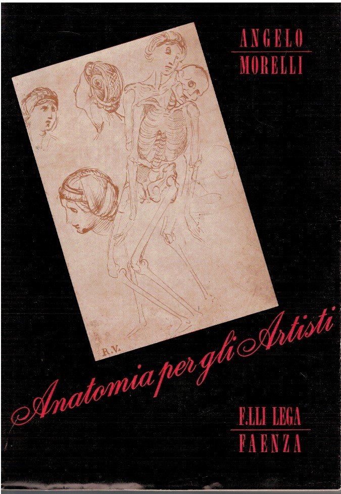 Anatomia per gli artisti | Immagine principale