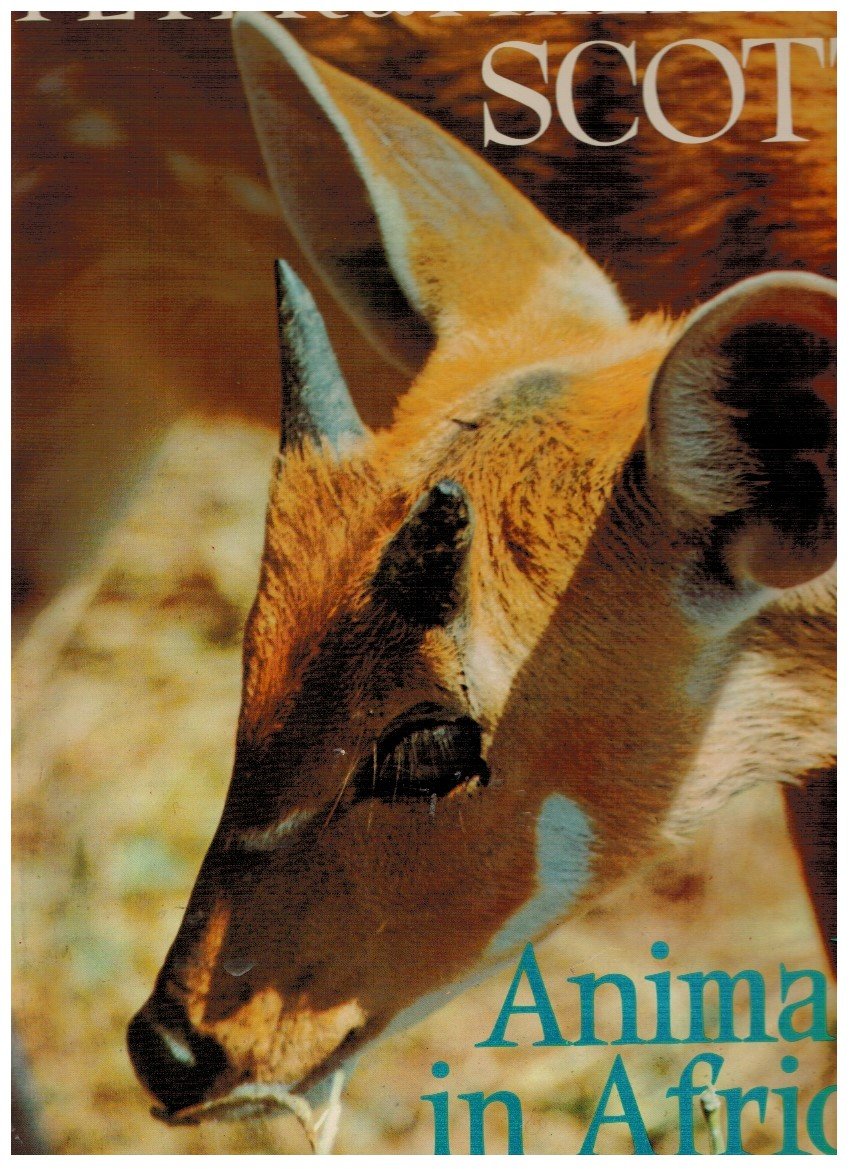 Animals in Africa