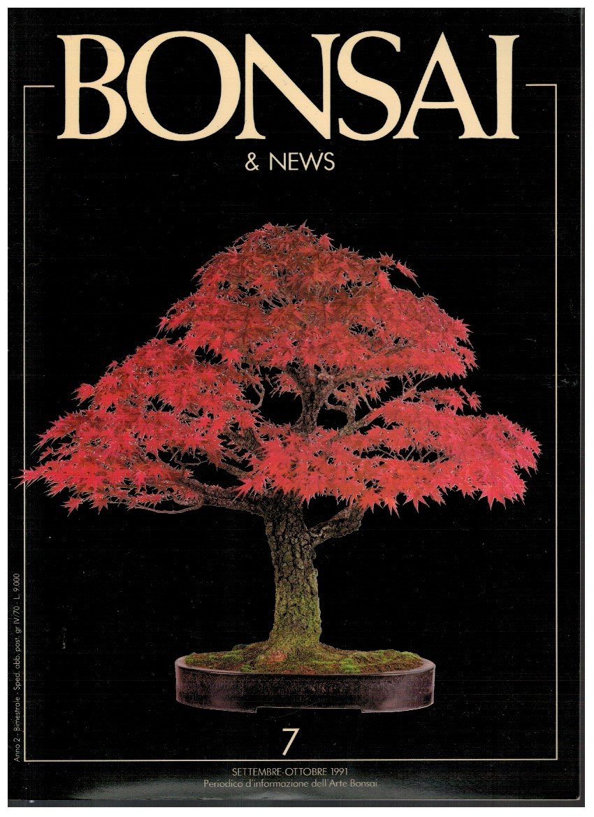 Bonsai & News 7