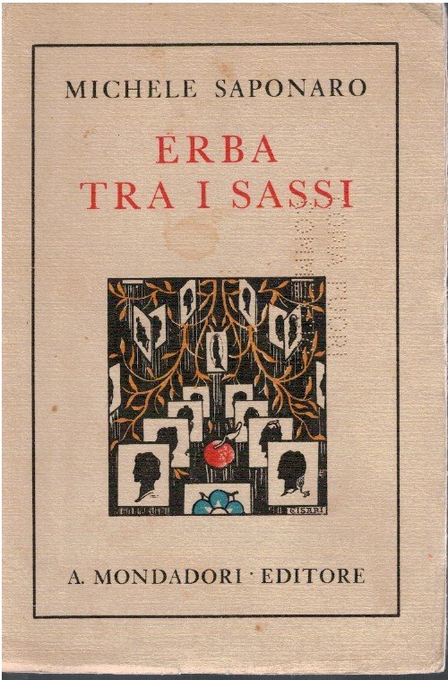 Erba tra i sassi