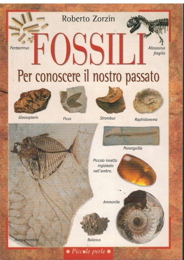 Fossili Per conoscere il nostro passato