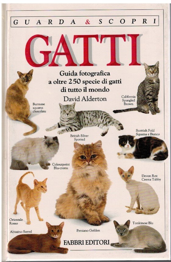 Gatti guida fotografica a oltre 250 specie di gatti di …