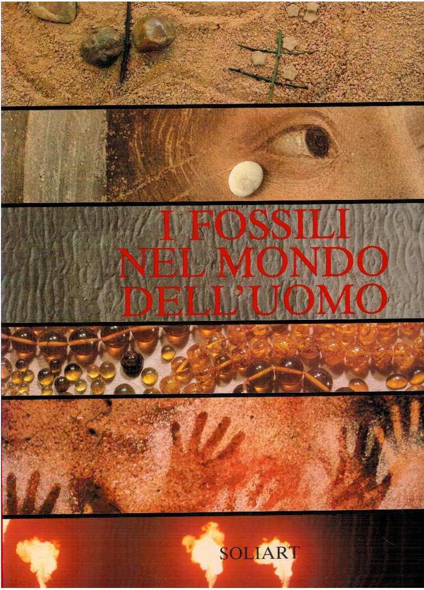 I fossili nel mondo dell'uomo | Immagine principale