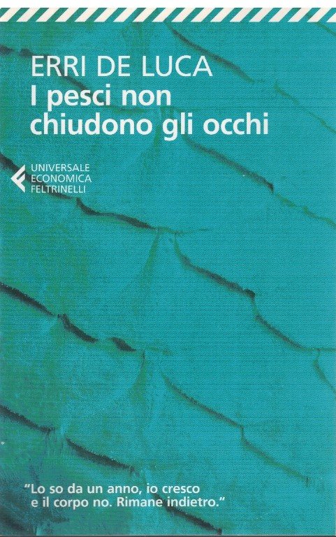 I pesci non chiudono gli occhi