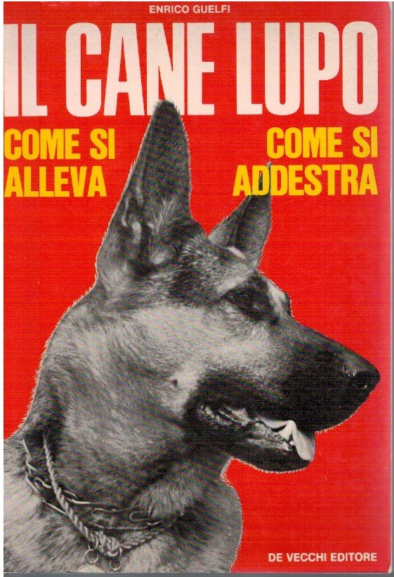 Il cane lupo come si alleva come si addestra