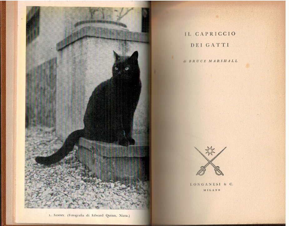 Il capriccio dei gatti