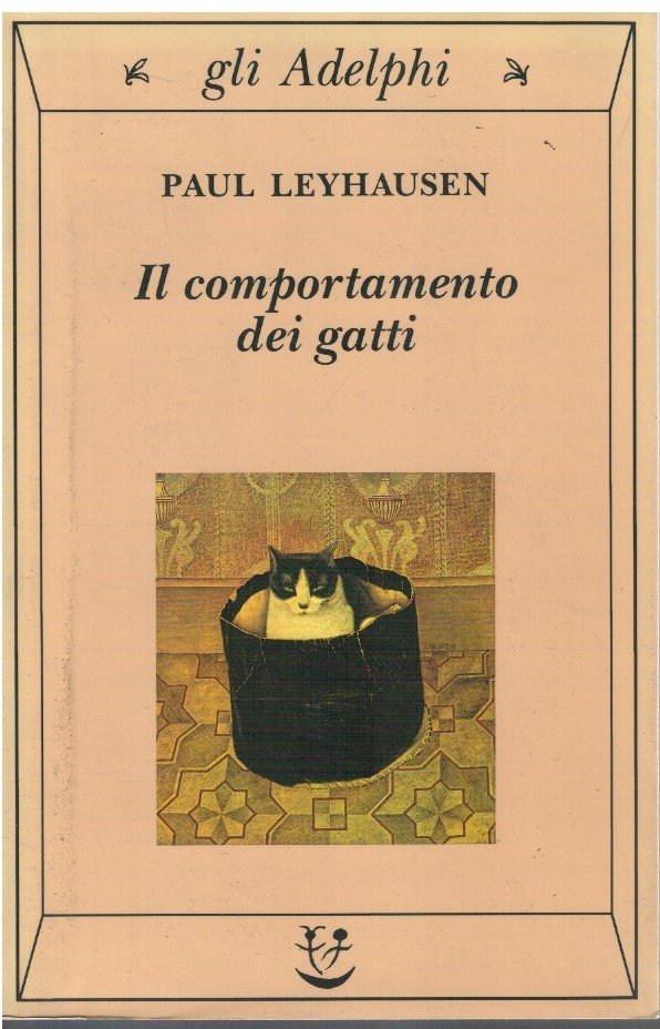 Il comportamento dei gatti | Immagine principale