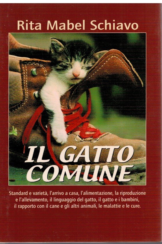 Il gatto comune