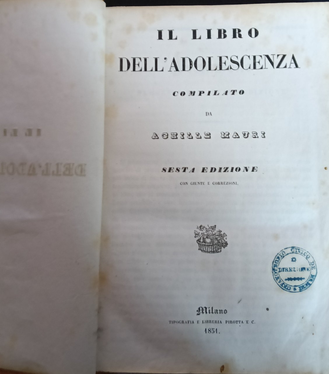 Il libro dell'adolescenza