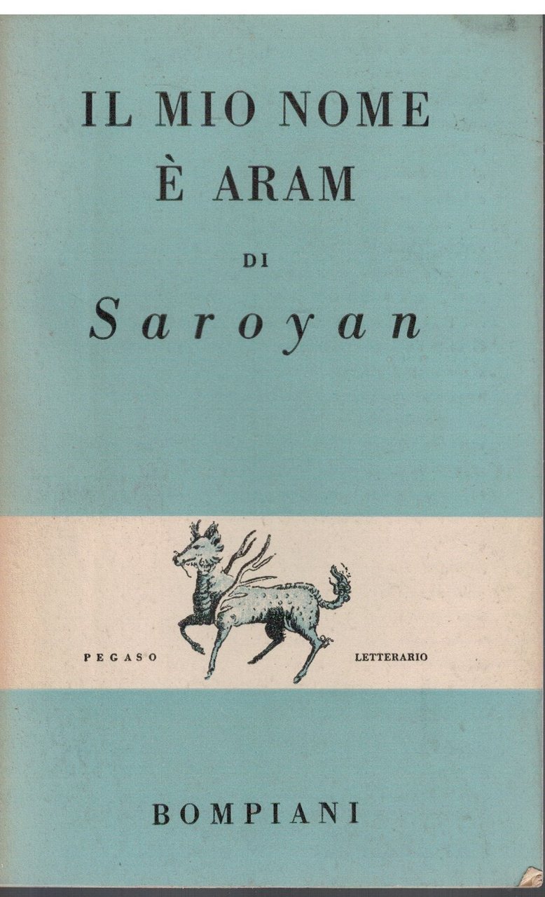 Il mio nome è Aram