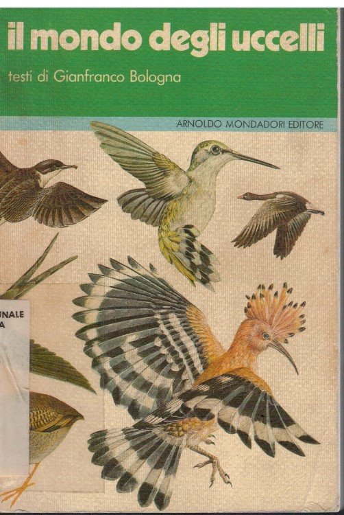 Il mondo degli uccelli