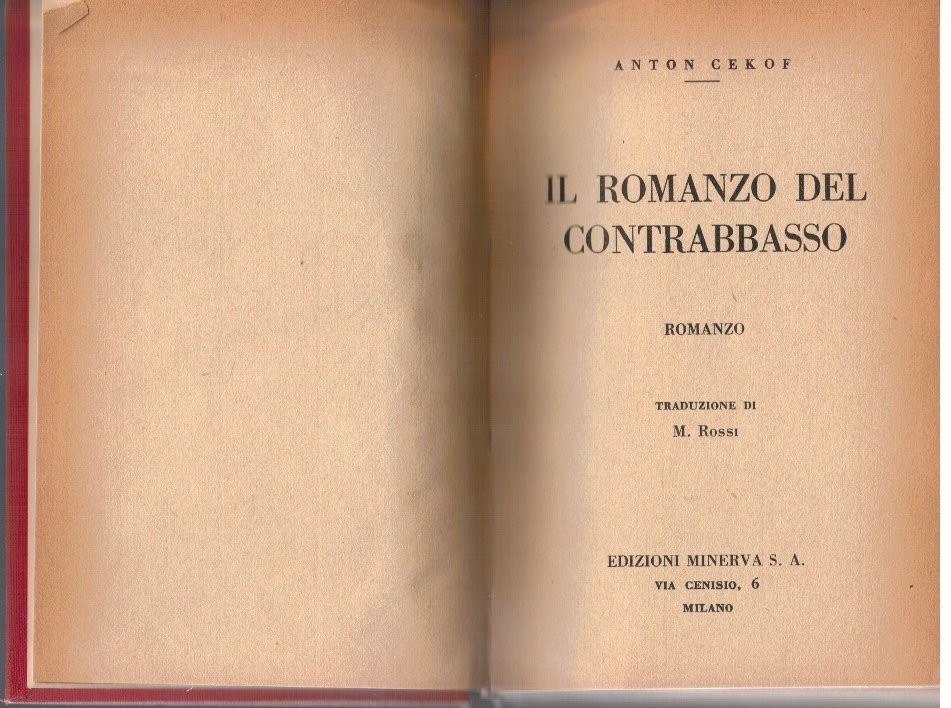 Il romanzo del contrabbasso