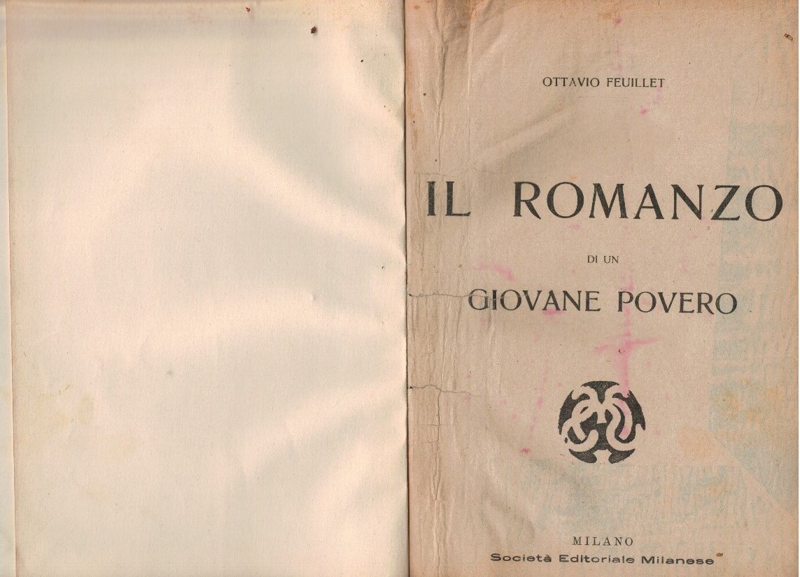 Il romanzo di un giovane povero
